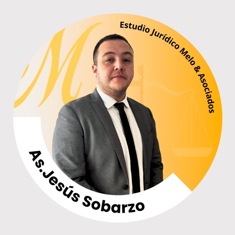Retrato de As. Jesús Sobarzo, Melo & Asociados